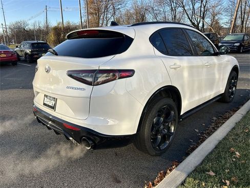 New 2025 Alfa Romeo Stelvio Sprint image 8