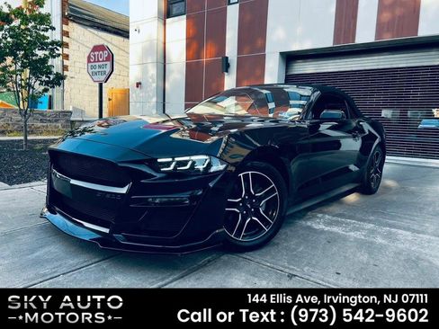 Used 2018 Ford Mustang Premium w/ Equipment Group 201A RWD image 1