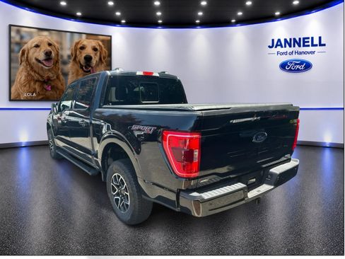 Used 2023 Ford F150 XLT w/ Equipment Group 302A High AWD/4WD image 8