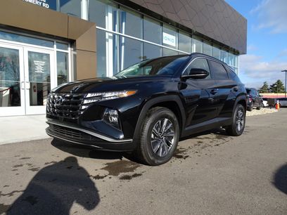 New 2024 Hyundai Tucson Blue