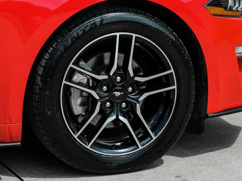 Used 2019 Ford Mustang Premium RWD image 51