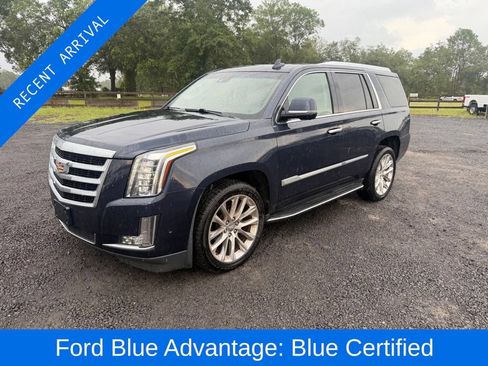 Used 2019 Cadillac Escalade Luxury AWD/4WD image 1