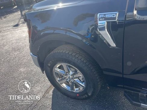 New 2025 Ford F150 XLT w/ Equipment Group 301A Standard image 16