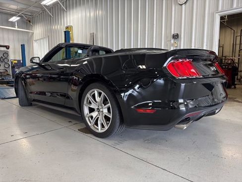 Used 2015 Ford Mustang GT Premium w/ 50 Years Appearance Package RWD image 10