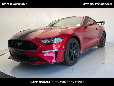 Used 2023 Ford Mustang Coupe w/ Equipment Group 101A RWD image 1