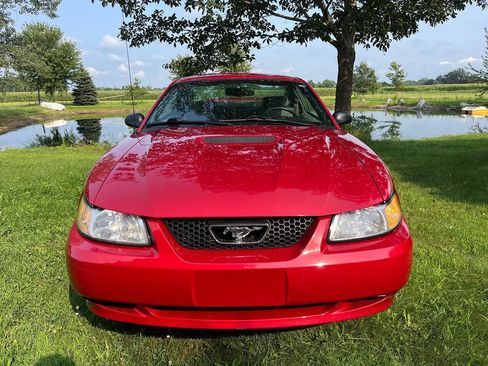 Used 2000 Ford Mustang Coupe RWD image 2