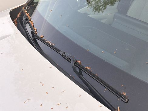 Used 2022 Kia Sorento SX Prestige w/ Panoramic Sunroof Package image 10