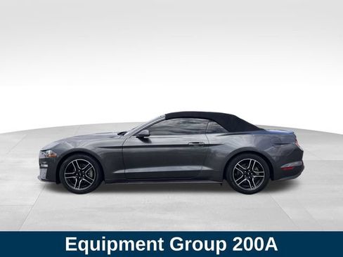 Used 2020 Ford Mustang Premium RWD image 2