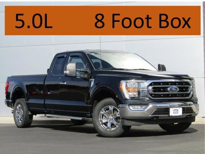 Used 2023 Ford F150 XLT w/ Equipment Group 302A High