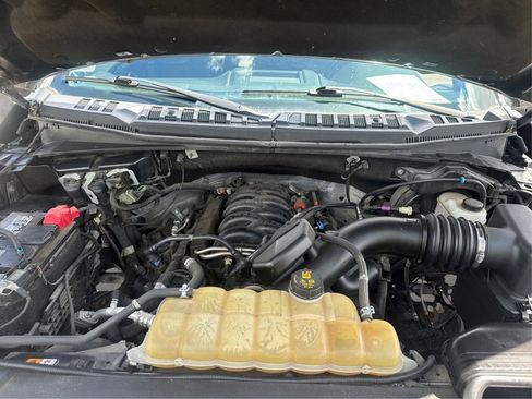 Used 2019 Ford F150 XLT w/ Equipment Group 302A Luxury AWD/4WD image 13