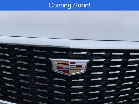 Used 2024 Cadillac XT5 Premium Luxury w/ LPO, Floor Liner Package AWD/4WD image 11