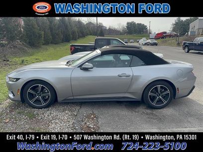 Used 2024 Ford Mustang Premium