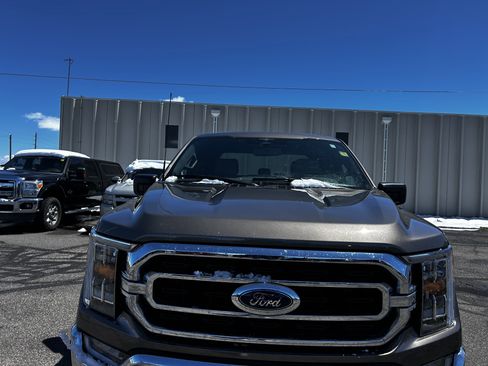 Used 2023 Ford F150 XLT w/ Equipment Group 302A High AWD/4WD image 9