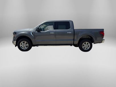 Used 2025 Ford F150 XLT w/ Equipment Group 301A Standard