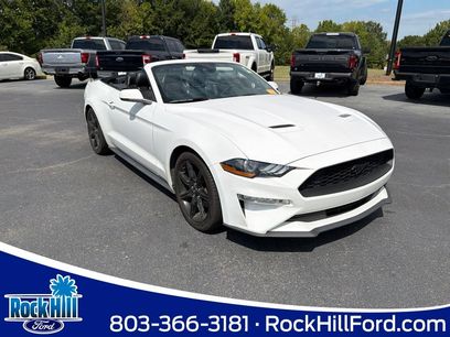 Used 2019 Ford Mustang Premium w/ Equipment Group 201A