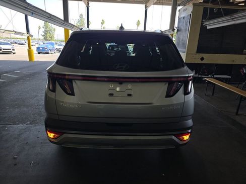 Used 2025 Hyundai Tucson Limited AWD/4WD image 5