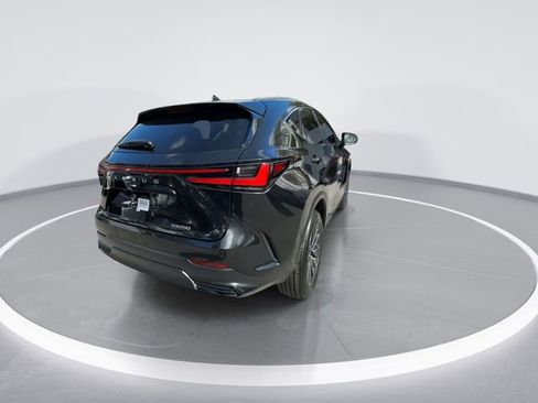 Used 2025 Lexus NX 250 250 Base w/ Accessory Package (Z1) image 7