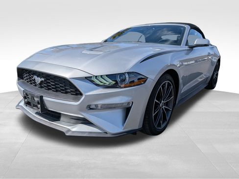 Used 2019 Ford Mustang Premium w/ Equipment Group 201A image 10