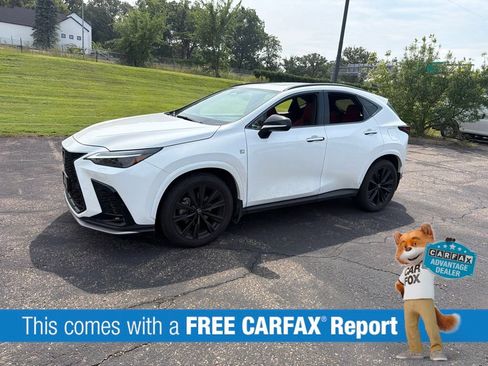 Used 2024 Lexus NX 350 F Sport AWD/4WD image 2
