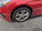 Used 2019 Hyundai Sonata SEL image 5