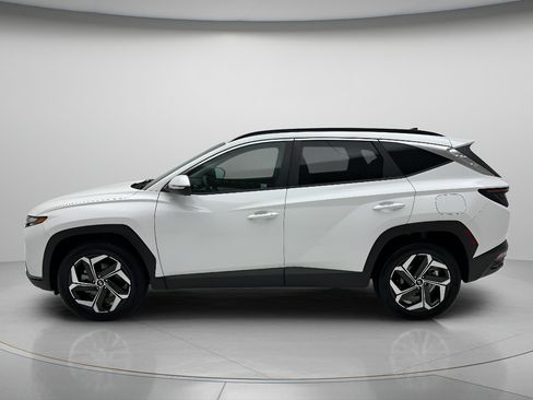 Used 2024 Hyundai Tucson SEL w/ Convenience Package AWD/4WD image 6