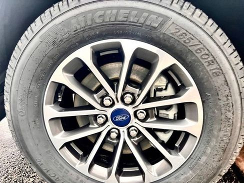 Used 2019 Ford F150 XLT w/ Equipment Group 302A Luxury RWD image 44