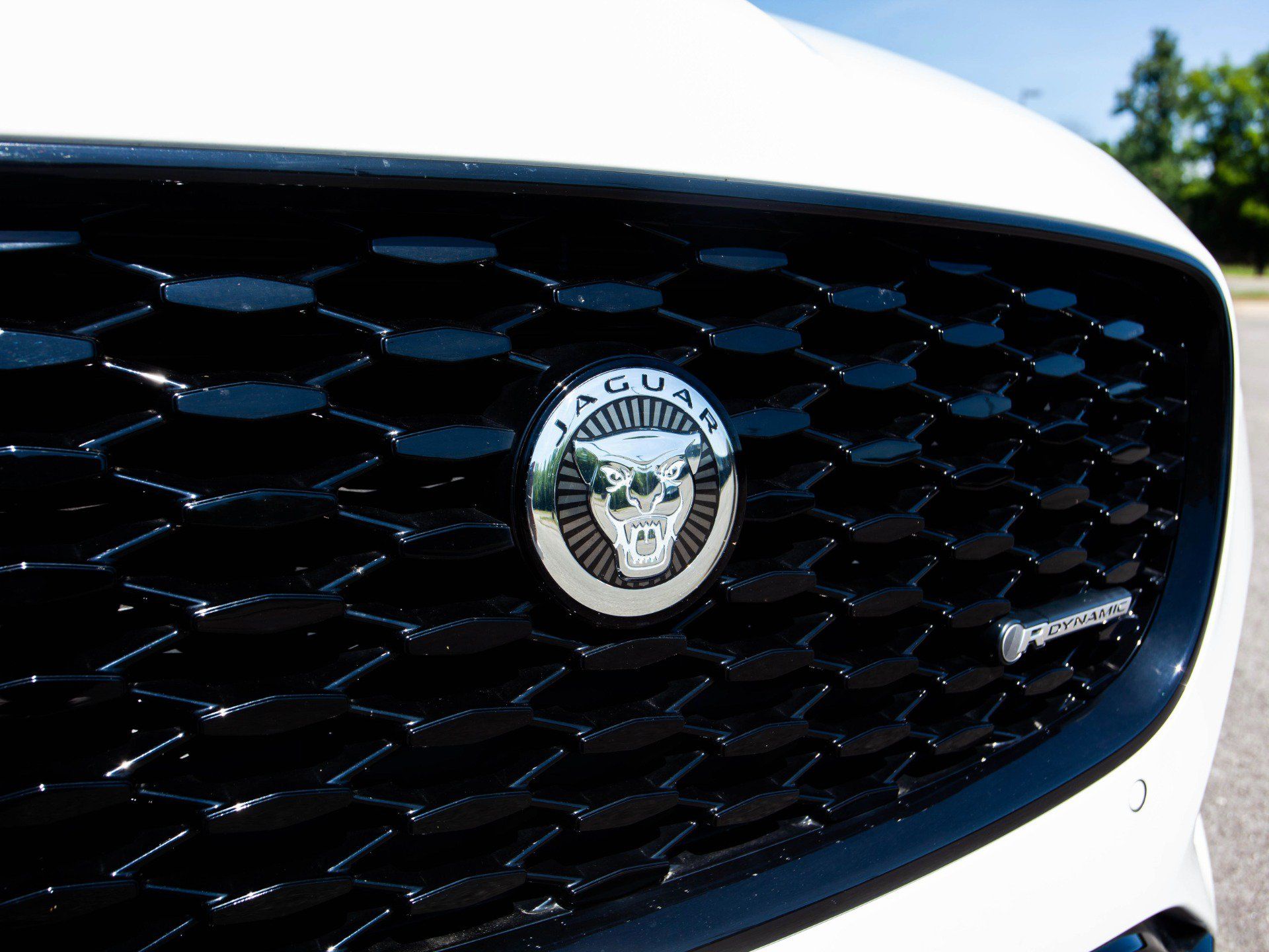 Used 2024 Jaguar XF R-Dynamic SE AWD/4WD image 40