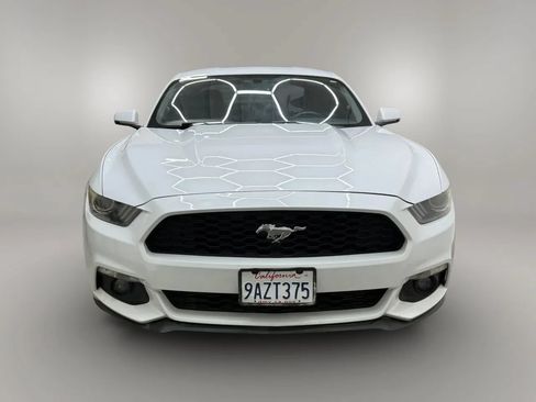 Used 2017 Ford Mustang Premium RWD image 3