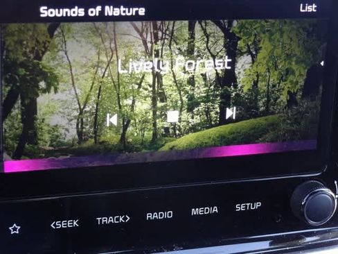 Used 2023 Kia Forte GT-Line w/ GT-Line Premium Package image 30