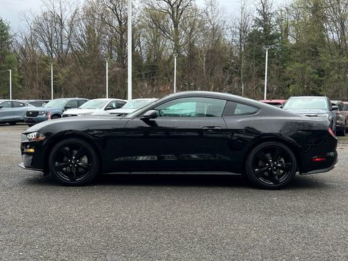 Used 2023 Ford Mustang Coupe w/ Equipment Group 101A image 4