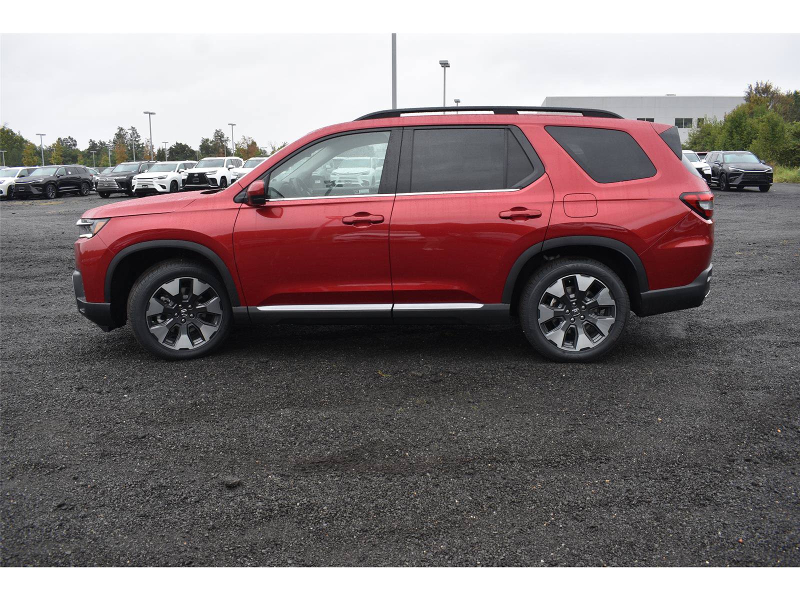 New 2026 Honda Pilot Elite image 4