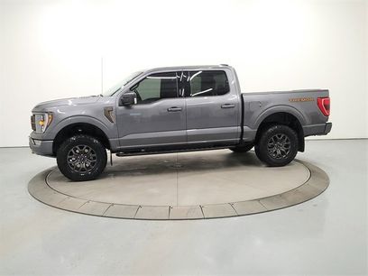 Used 2023 Ford F150 Tremor