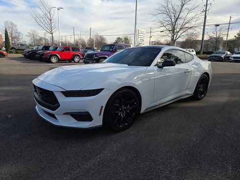 Used 2024 Ford Mustang Premium w/ Mustang Nite Pony Package image 1