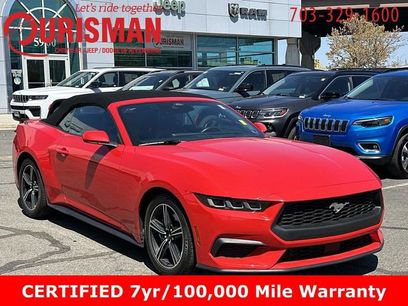 Used 2024 Ford Mustang Premium
