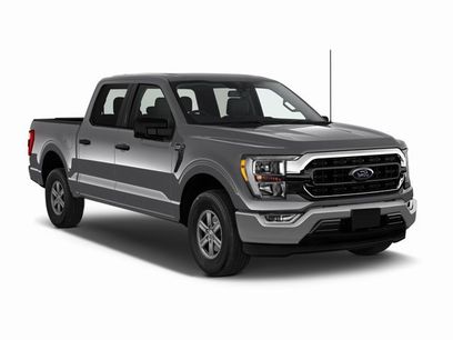 Used 2023 Ford F150 XLT w/ Equipment Group 302A High