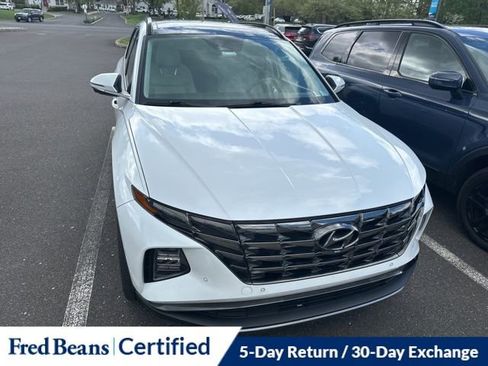 Used 2023 Hyundai Tucson Limited AWD/4WD image 14