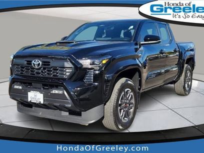 Used 2024 Toyota Tacoma TRD Sport