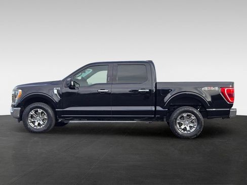 Used 2021 Ford F150 XLT w/ Equipment Group 302A High AWD/4WD image 8
