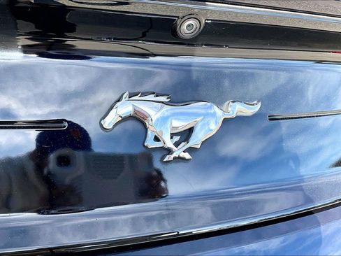 Used 2021 Ford Mustang Coupe image 24