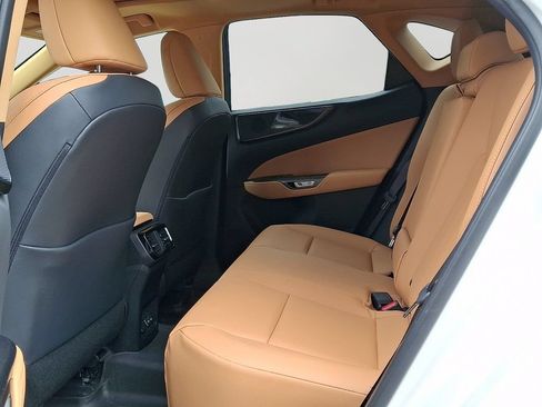 Used 2024 Lexus NX 350 AWD w/ Cold Area Package image 8