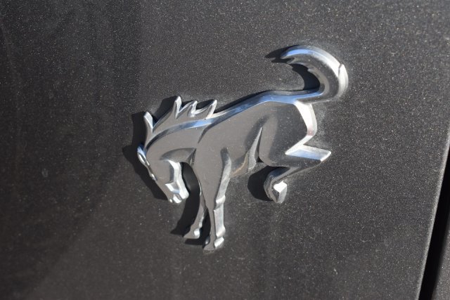 Used 2024 Ford Bronco Outer Banks AWD/4WD image 13