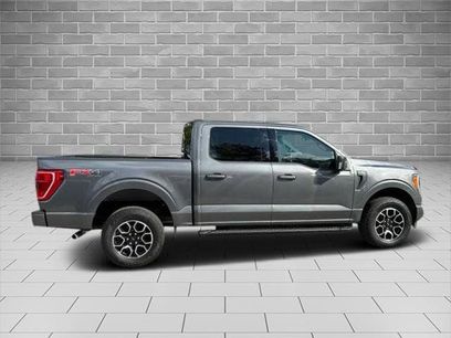 Certified 2023 Ford F150 XLT w/ Equipment Group 302A High