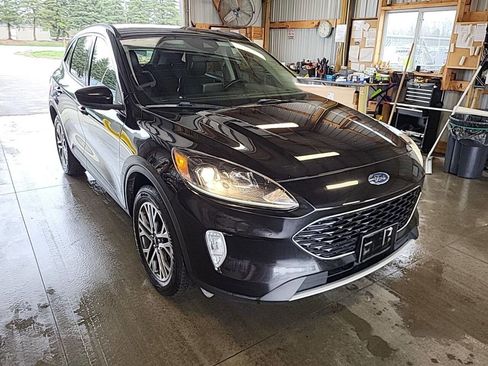 Used 2020 Ford Escape SEL image 5
