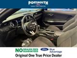 Used 2016 Ford Mustang Convertible w/ Equipment Group 051A image 4