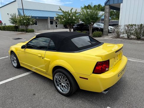 Used 2003 Ford Mustang Cobra RWD image 6