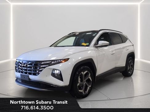Used 2023 Hyundai Tucson Limited AWD/4WD image 1