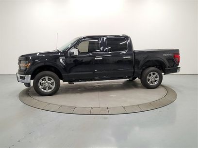 Used 2024 Ford F150 XLT w/ Equipment Group 302A MID