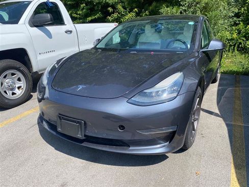 Used 2019 Tesla Model 3 Long Range AWD/4WD image 1