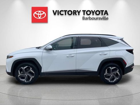 Used 2024 Hyundai Tucson Limited AWD/4WD image 2