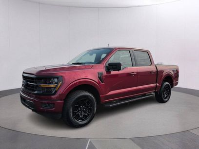 Used 2026 Ford F150 XLT w/ Equipment Group 302A MID